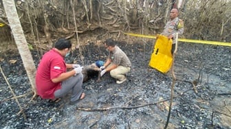 Tragis, Kakek Asal Patuk Terbakar Hidup-hidup Saat Membersihkan Ladang