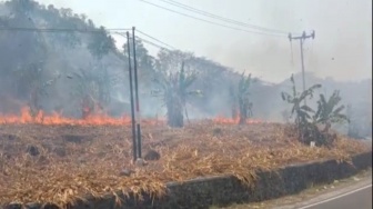 Waspada Karhutla! BMKG Pantau Titik Panas di 5 Kabupaten di Lampung