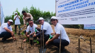 Jaga Kualitas Perairan, ASDP Tanam 3000 Pohon Mangrove di Tangerang