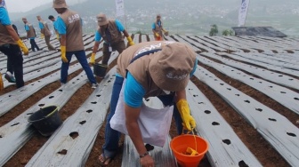 Rekind Tingkatkan Peran TJSL untuk Petani Dieng