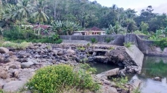 Dam Kedungbanteng Rusak, Ratusan Hektar Sawah di Malang Terancam