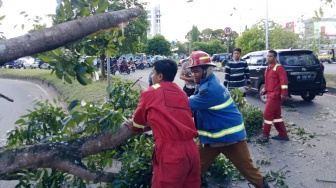 Ibu dan Anak Tertimpa Pohon Tumbang di Jalan Mayor Alianyang!