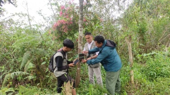 Beruang Menggali Sampah di Lampung Barat, Petugas Lacak Pergerakan Lewat Kamera Jebak
