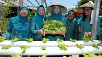 Inspirasi PKK Sulsel: Kebun Canggih "Aku Hatinya PKK" Resmi Dibuka