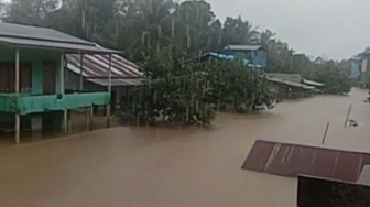 Genangan Capai 1 Meter! Begini Kondisi Terkini Banjir di Ketapang