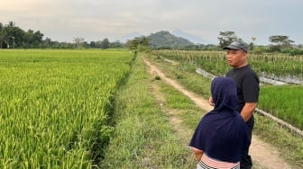 Selokan Van Der Wijck Dibuka Lagi, Harda Kiswaya Tegaskan Komitmen untuk Petani