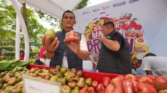 Dapat Modal KUR BRI, Petani Ini Sukses Kembangkan Usaha Jambu Citra