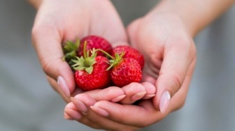 Mengenal Generasi Strawberry, Benarkah Rapuh dan Manja?