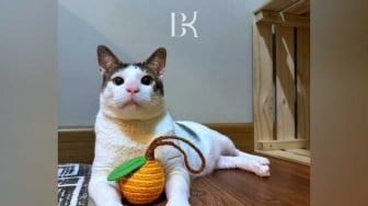 Istana Soal Bobby Si Kucing Prabowo: Dia Properti Presiden, Kok Diprotes?