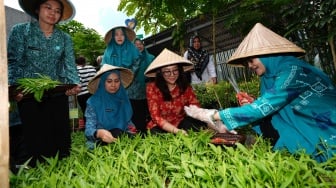 Ninuk Zudan Puji Lorong Mangasa Makassar: Inspirasi Pemberdayaan Ekonomi dan Kesehatan di Lorong Sempit