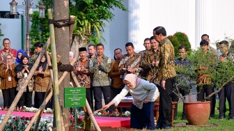 Jokowi Dan Iriana Tanam Pohon Pulai Dan Flamboyan Di Istana Jelang Purnatugas, Maknanya Dalam