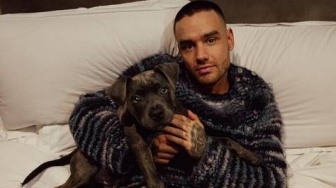 Kronologi Liam Payne Tewas di Argentina: Aksi Agresif dan Masa Kritis Jelang Ajal Terungkap