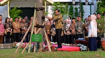 Makna Simbolis Pohon Pulai dan Flamboyan yang Ditanam Jokowi dan lbu lriana di Halaman Istana Jelang Purna Tugas