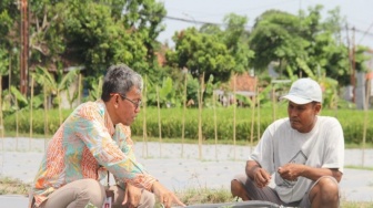 Nekat Tinggalkan Profesi Buruh Pabrik, Pemuda Godean Ini Kini Jadi Petani Milenial Sukses