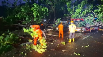 Gunungkidul Diguyur Hujan Sepanjang Malam, Sebuah Pohon Roboh Timpa Bus Pariwisata di Jalan Kukup-Krakal