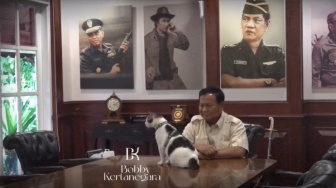 Terungkap! Bobby Kertanegara Kucing Kesayangan Prabowo Ternyata Berasal dari...