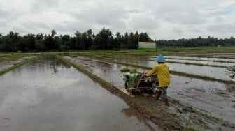 Dukung Program Pangan Gizi Pemerintah, DKPP Bantul Siapkan Gapoktan Suplai Bahan Baku