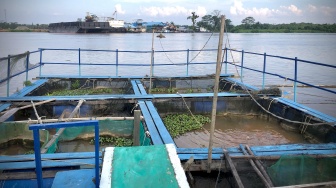 Astra dan Gang Durian: Keramba Ikan Nila jadi Tali Silahturahmi