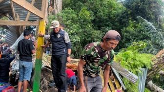 Detik-detik Pohon Tumbang di Situs Mattabulu Soppeng, 9 Orang Meninggal Dunia