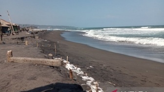 Abrasi di Pesisir Bantul Mencapai 300 Meter dari Bibir Pantai, Ini yang Dilakukan Pemda DIY