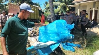 Ojek dan Gerobak Sapi Antar Logistik Pilkada ke Pelosok Pesisir Barat