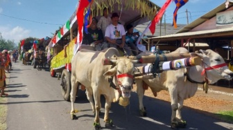 Mengenal Pegon, Kendaraan Tradisional Mirip Pedati yang Ada di Ambulu Jember