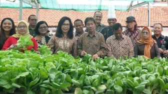 Inovasi Hijau, The Phoenix Hotel Yogyakarta Manfaatkan Lahan Jadi Kebun Hidroponik dan Pusat Pengolahan POC