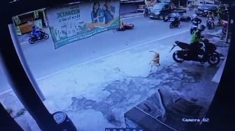 Apes, Gara-gara Anjing, 2 Motor dan 2 Mobil Tabrakan Beruntun di Bantul