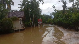 Banjir Landa Dua Kecamatan di Aceh Jaya, Ratusan Warga Mengungsi"