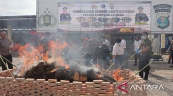 Narkoba Rp39 Miliar Dimusnahkan Polres Lampung Selatan