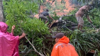 Longsor Terjang Padang Lawas Sumut, 4 Orang Meninggal