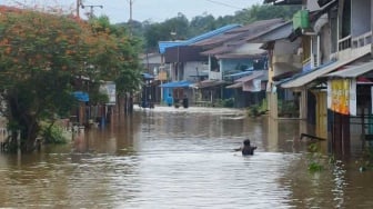 Banjir Kembali Rendam Desa Darit Landak, Ketinggian Air Capai 80 Centimeter