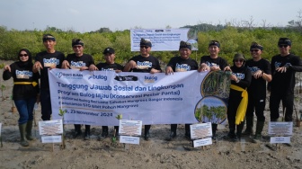 Program Bulog Hijau: Tanam 570 Bibit Mangrove di Bali, Selamatkan Ekosistem Pesisir