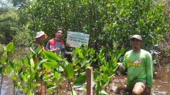 Pertamina Patra Niaga Regional JBB Tanam 3.750 Mangrove di Suaka Margasatwa Pulau Rambut