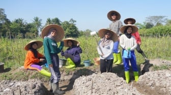 Komunitas Petani Muda Jogja Dorong Generasi Muda Kembali Bertani