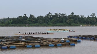 Lomba Sampan Tradisional, Tradisi yang Memikat dan Menyatukan