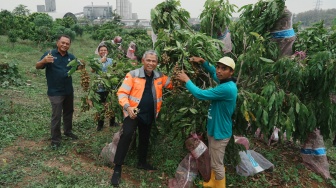 Dirut Semen Gresik Bersama Petani SGSP Gelar Panen Raya Buah Kelengkeng dan Durian di Kebun Hortikultura Pabrik Rembang