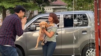 4 Fakta Unik Rivfo Pet Taxi Jogja, Inovasi yang Memudahkan Pemilik Hewan Peliharaan