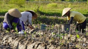 Petani Muda Jogja Membangun Generasi Peduli Pertanian Berkelanjutan