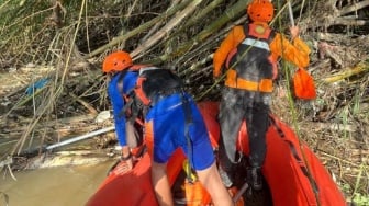 Hanyut di Sungai Belawan, Jasad Balita 2 Tahun Ditemukan Tersangkut di Kayu