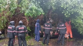 Mobil Patroli Satpol PP Kota Surabaya Jadi Korban Pohon Tumbang