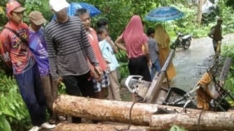 Tragis! Pengangkut Kayu Tewas Tertimpa Muatannya Sendiri di Tanggamus