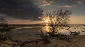 Bukan Cuma Gili Trawangan! Eksplor 10 Surga Tersembunyi di Lombok