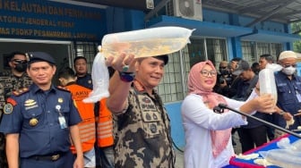 Gagalkan Penyelundupan "Narkoba Basah", KKP Sita Benih Bening Lobster Senilai Rp7,8 Miliar di Krui