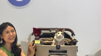 Bobby Kertanegara Raih Penghargaan Google, Kucing Presiden Prabowo Kalahkan Tokoh Ternama di Mesin Pencarian Internet!