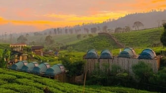 Nuansa Riung Gunung, Camping dengan Panorama Perkebunan Teh di Pangalengan