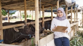 Jadi Pendamping Desa, Apa Saja Tugas dan Berapa Gajinya?