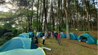 Wisata Bukit Baros Sukabumi, Sensasi Camping di Bawah Rimbunnya Pohon Pinus