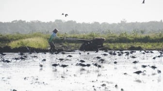 Tegas, Kementan Minta Petani Laporkan Pungli Bantuan Alsintan