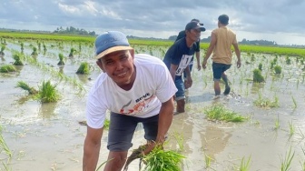 Pangkas 145 Regulasi, Kebijakan Distribusi Pupuk Langsung Ke Petani Dinilai Tepat